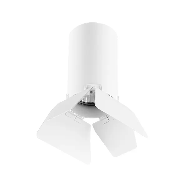 Потолочный светильник Lightstar Rullo R436436