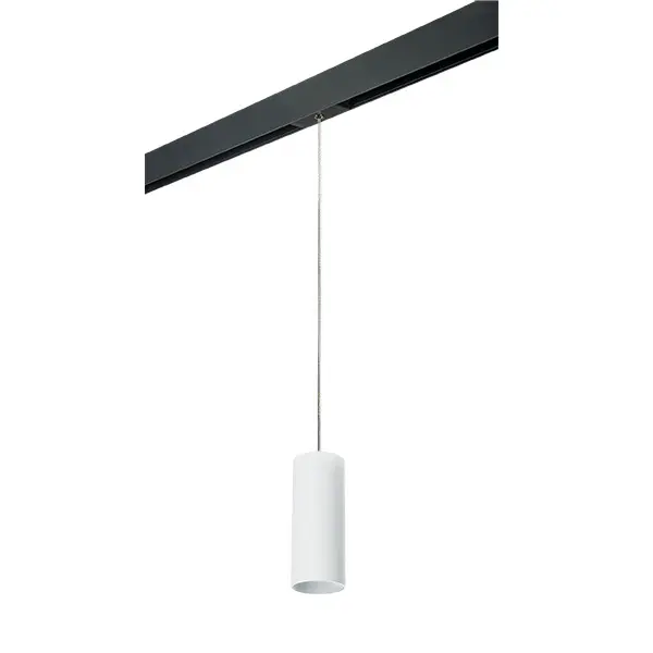 Трековый светильник Lightstar Rullo PRORP486