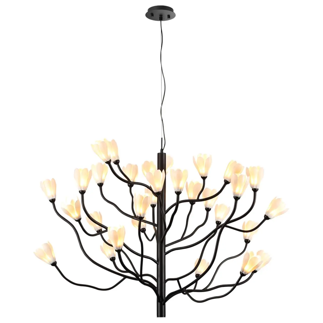 Люстра Odeon Light Modern 5090/30