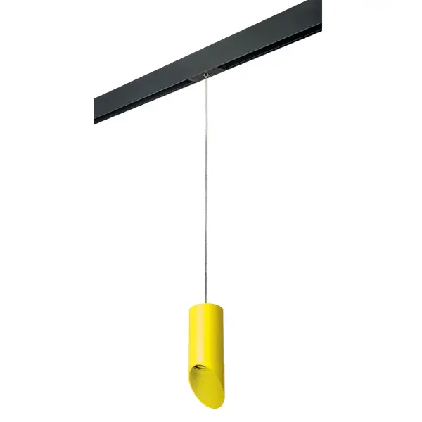 Трековый светильник Lightstar Rullo PRORP43333
