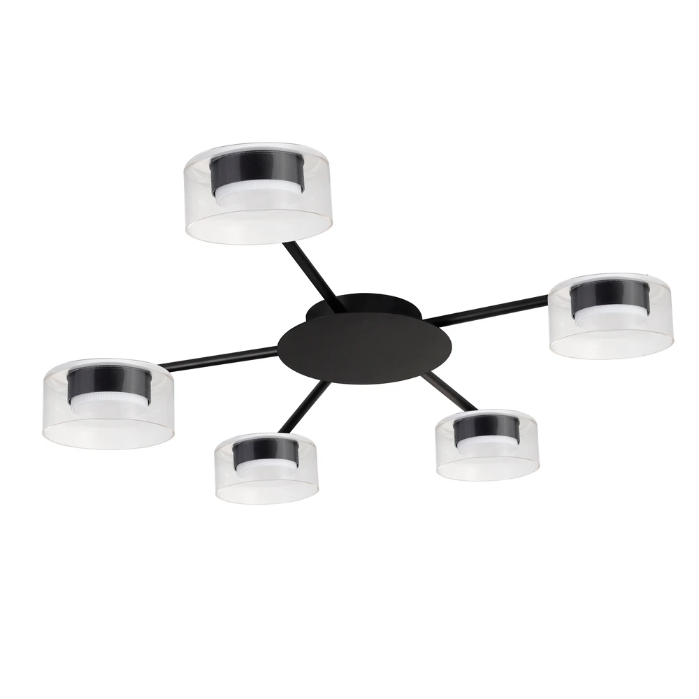 Потолочная люстра Arte Lamp ALIUS A8042PL-5BK