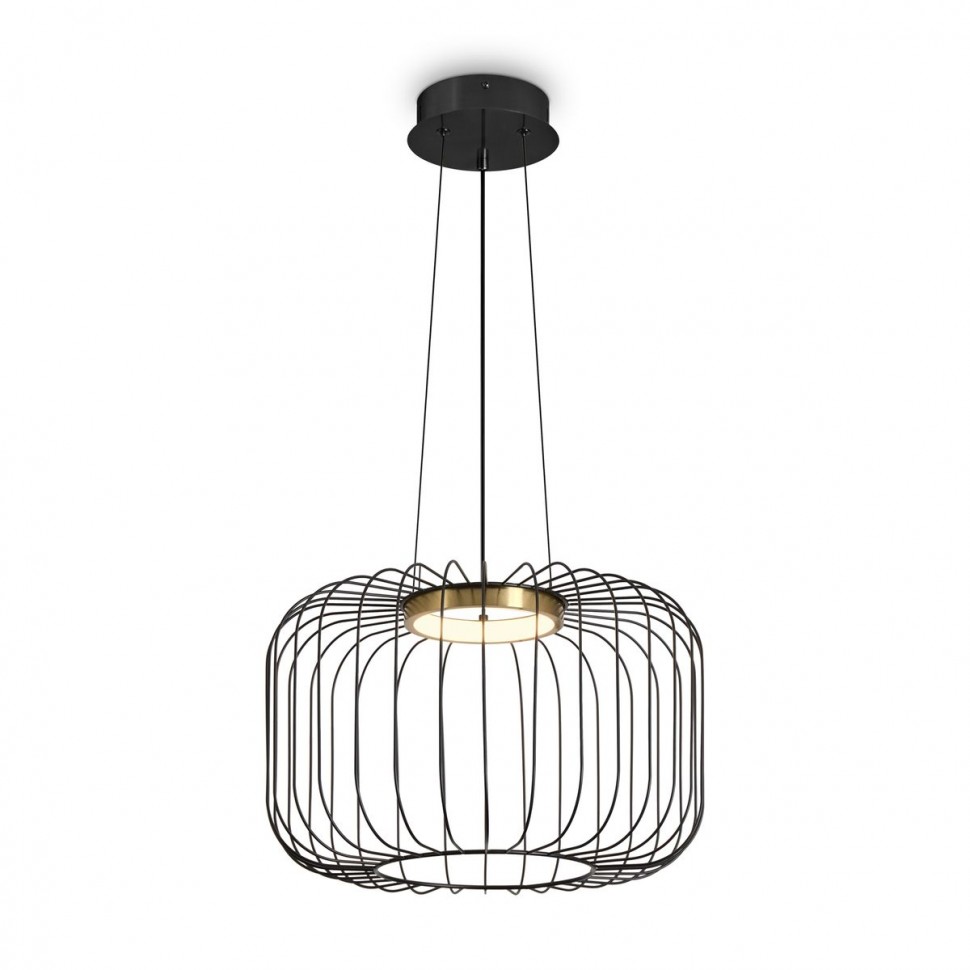 Подвесной светодиодный светильник Freya Citrus FR5398PL-L8B фото 1 &mdash; svetrussia.ru