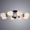 Потолочная люстра Arte Lamp Brighton A2706PL-8CK фото 3 &mdash; svetrussia.ru