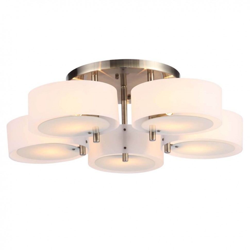 Потолочная люстра Evoluce Foresta SL483.352.05 фото 1 &mdash; svetrussia.ru