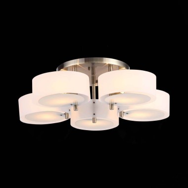 Потолочная люстра Evoluce Foresta SL483.352.05 &mdash; svetrussia.ru