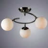 Потолочная люстра Arte Lamp Brooke A2717PL-3SS фото 3 &mdash; svetrussia.ru