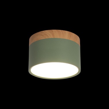 Накладной светодиодный светильник Loft IT Grape 10162 Green &mdash; svetrussia.ru