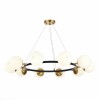 Подвесная люстра Evoluce FORLI SLE220403-10 фото 1 &mdash; svetrussia.ru