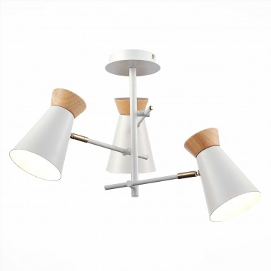 Потолочная люстра Evoluce Alfeo SLE1252-502-03 &mdash; svetrussia.ru