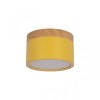 Накладной светодиодный светильник Loft IT Grape 10162 Yellow фото 1 &mdash; svetrussia.ru