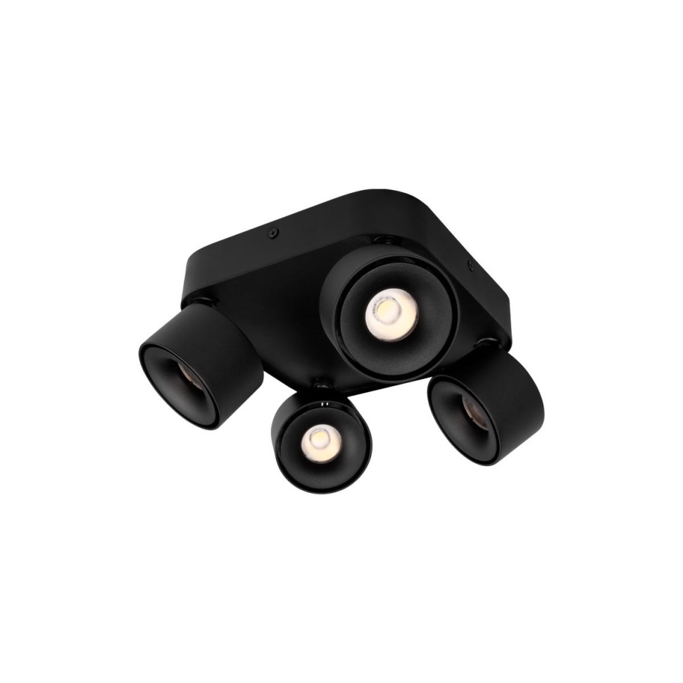 Спот Loft IT Case 10326 Black фото 1 &mdash; svetrussia.ru