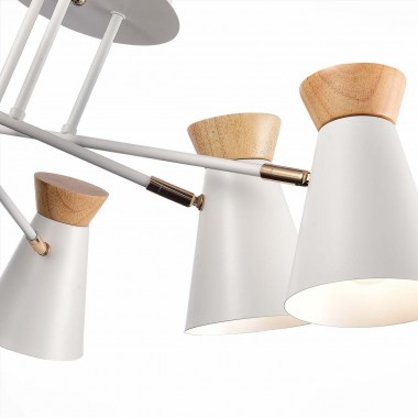 Потолочная люстра Evoluce Alfeo SLE1252-502-06 &mdash; svetrussia.ru