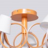 Потолочная светодиодная люстра MW-Light Аэлита 480012805 фото 11 &mdash; svetrussia.ru