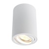 Потолочный светильник Arte Lamp A1560PL-1WH фото 1 &mdash; svetrussia.ru