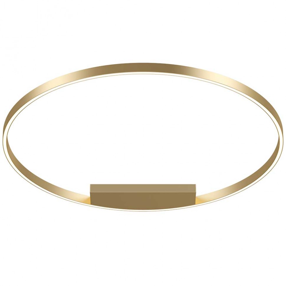 Потолочный светодиодный светильник Maytoni Rim MOD058CL-L65BSK фото 1 &mdash; svetrussia.ru