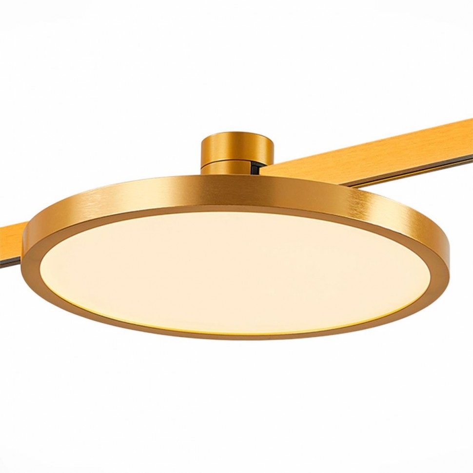 Трековый светильник ST LUCE ST818.246.12 фото 1 &mdash; svetrussia.ru