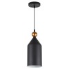 Подвесной светильник Odeon Light Pendant Bolli 4091/1 фото 1 &mdash; svetrussia.ru