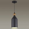 Подвесной светильник Odeon Light Pendant Bolli 4091/1 фото 2 &mdash; svetrussia.ru