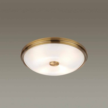 Потолочный светильник Odeon Light Walli Pelow 4956/4 &mdash; svetrussia.ru