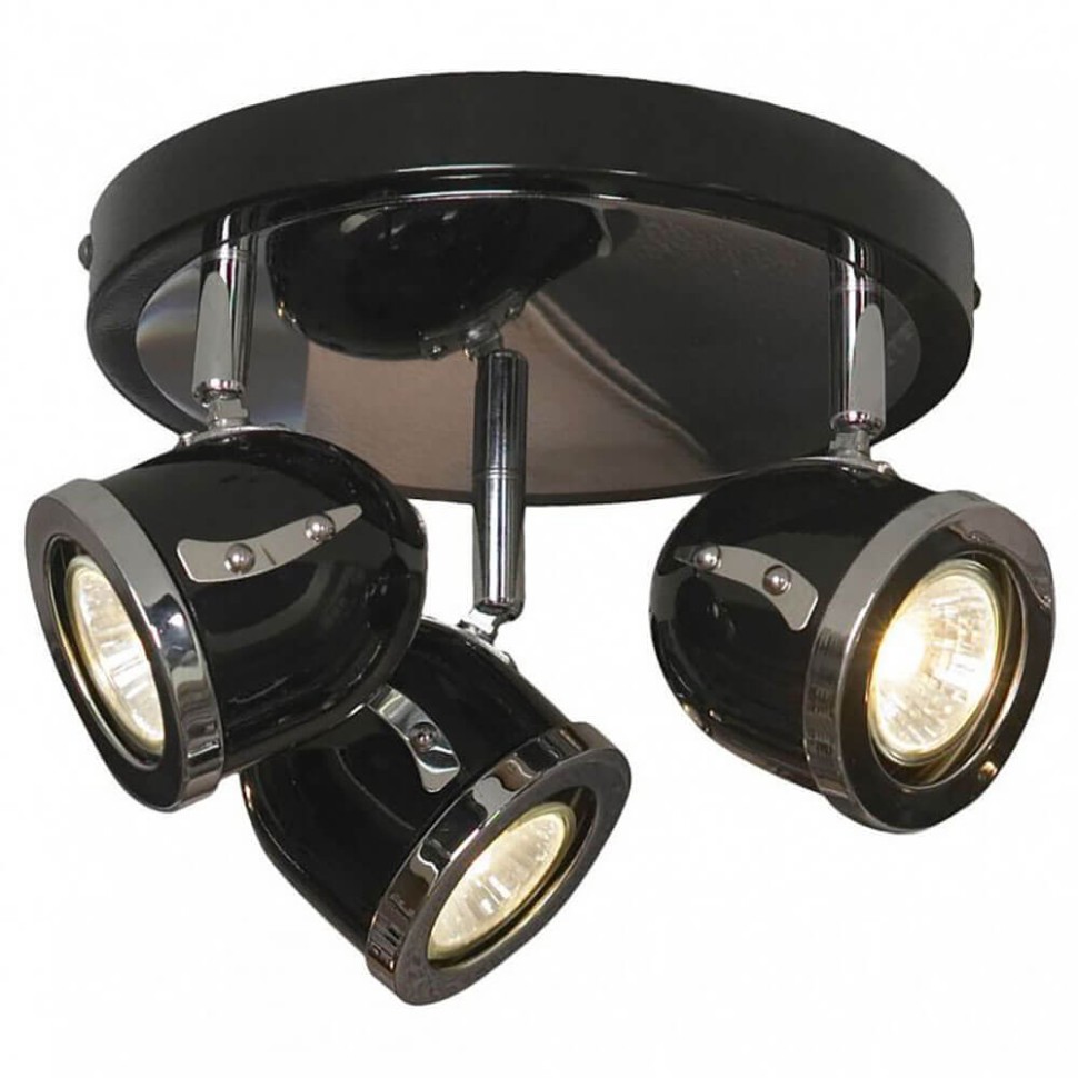 Спот Lussole Tivoli GRLSN-3127-03 фото 1 &mdash; svetrussia.ru