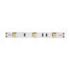 Светодиодная лента Maytoni Technical 7,2W/m 30LED/m 5050SMD теплый белый 5M 10120 фото 1 &mdash; svetrussia.ru