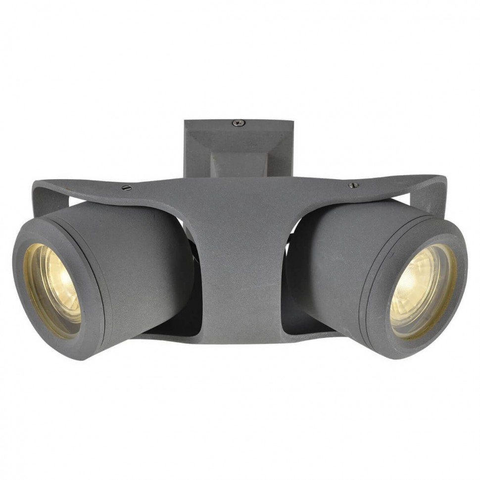 Спот Lussole Loft LSP-9939 фото 1 &mdash; svetrussia.ru