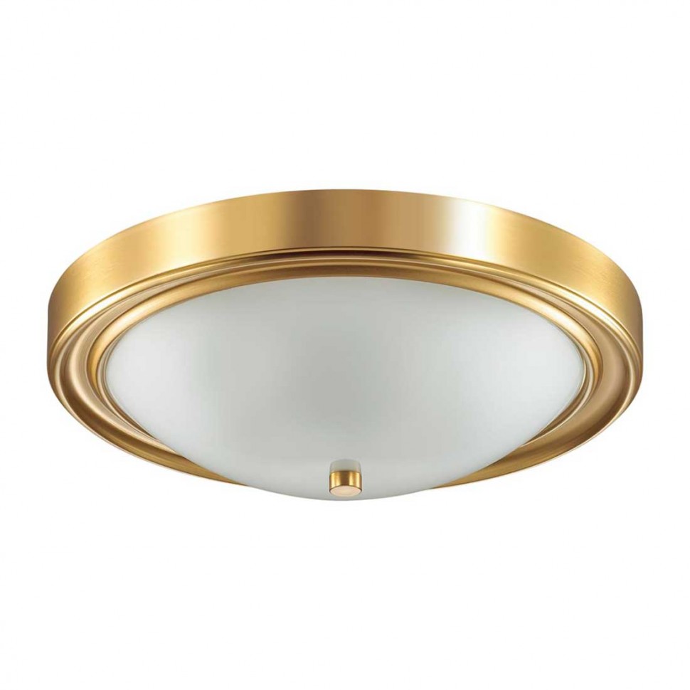 Настенно-потолочный светильник Lumion Vintage Nina 5259/3C фото 1 &mdash; svetrussia.ru