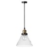 Подвесной светильник Loft IT Factory Filament Loft1123 фото 1 &mdash; svetrussia.ru