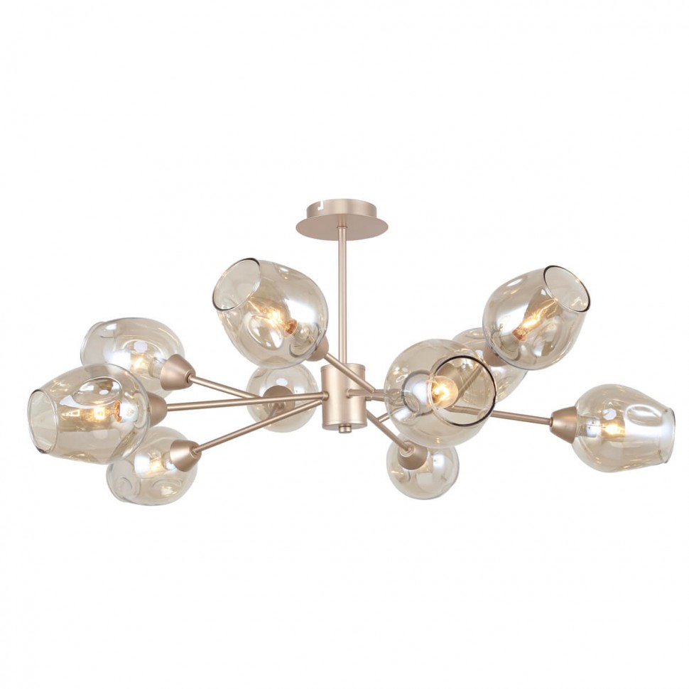 Потолочная люстра F-Promo 2658-10U фото 1 &mdash; svetrussia.ru