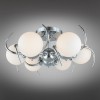 Потолочная люстра Omnilux Dalmine OML-64107-06 фото 4 &mdash; svetrussia.ru