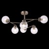 Потолочная люстра Freya Daisy FR5041PL-06BS фото 2 &mdash; svetrussia.ru