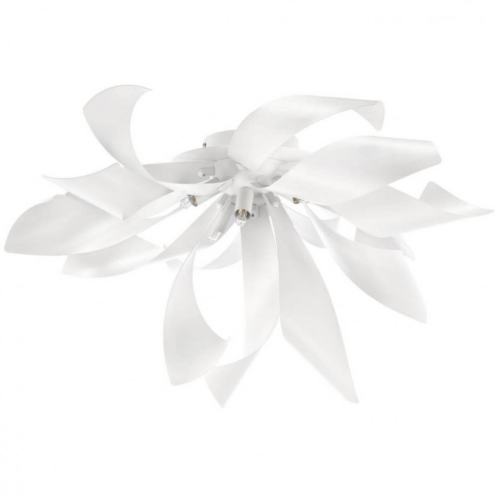 Потолочная люстра Lightstar Turbio 754166 фото 1 &mdash; svetrussia.ru