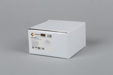 Потолочный светодиодный светильник Omnilux Salentino OML-100909-12 &mdash; svetrussia.ru
