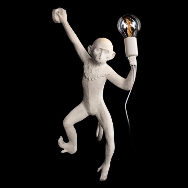 Настенный светильник Loft IT Monkey 10314W/B &mdash; svetrussia.ru