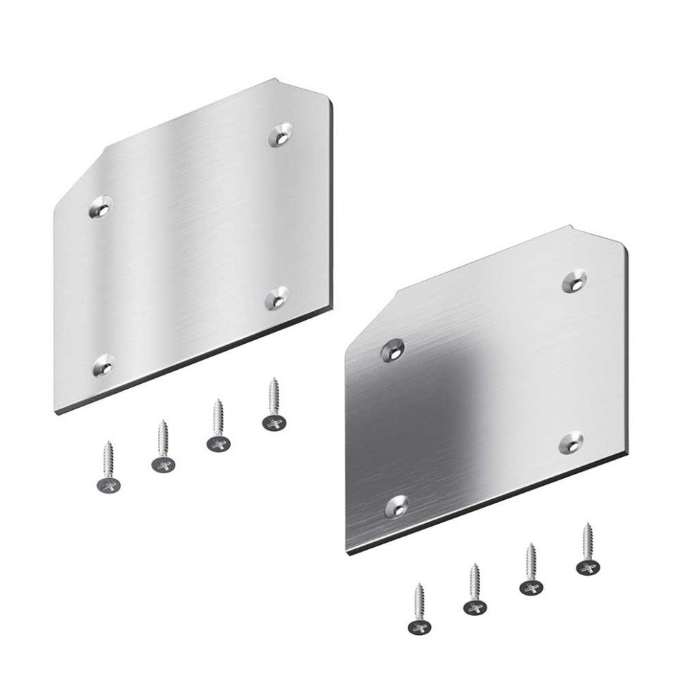 Заглушка торцевая к профилю Maytoni Technical 2 шт. TRA010MPEC-21S фото 1 &mdash; svetrussia.ru