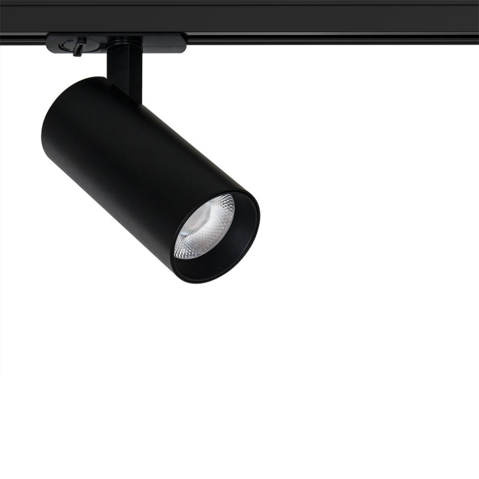 Трековый светильник Arte Lamp BENE A1946PL-1BK фото 1 &mdash; svetrussia.ru