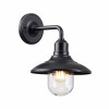Уличный настенный светильник Odeon Light Nature Campa 4965/1W фото 3 &mdash; svetrussia.ru