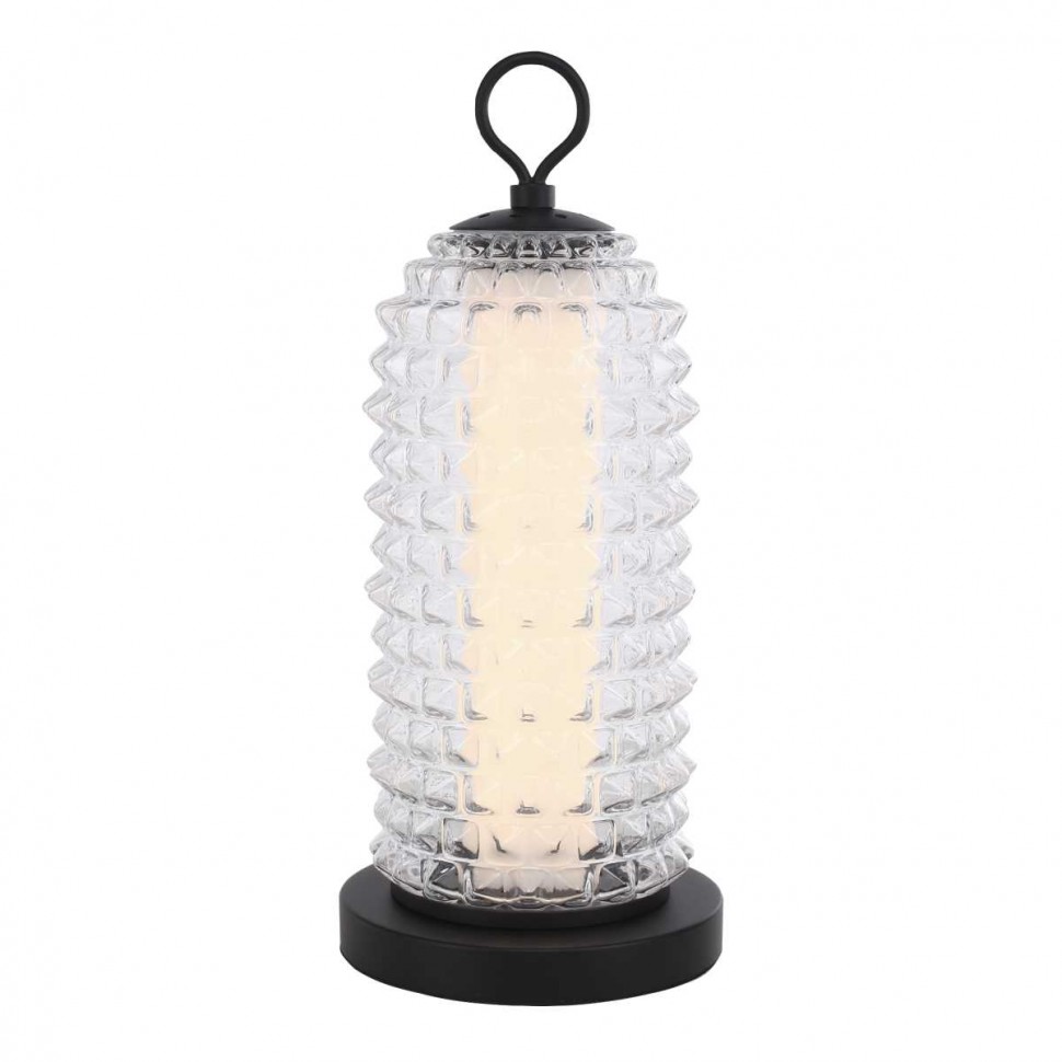 Настольная лампа ST Luce SAGUARO SL6144.404.01 фото 1 &mdash; svetrussia.ru