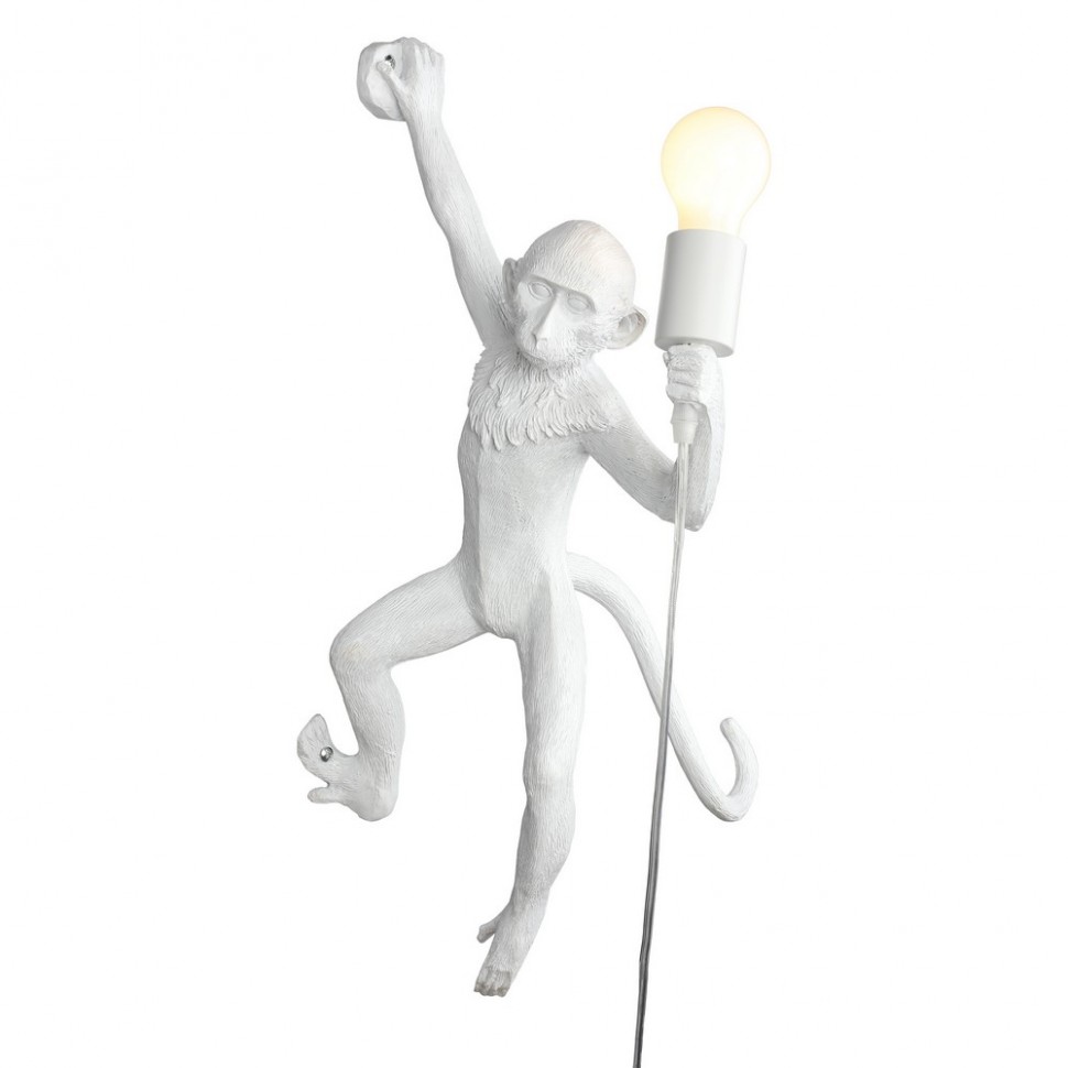 Светильник настенный Aployt Magali APL.309.11.01 фото 1 &mdash; svetrussia.ru