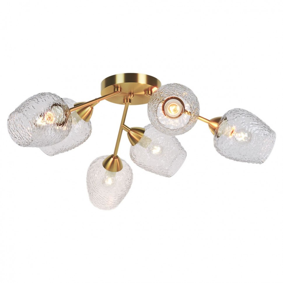 Потолочная люстра Lussole Lgo LSP-8720 фото 1 &mdash; svetrussia.ru