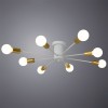 Потолочная люстра Arte Lamp Alastor A6702PL-8WH фото 3 &mdash; svetrussia.ru