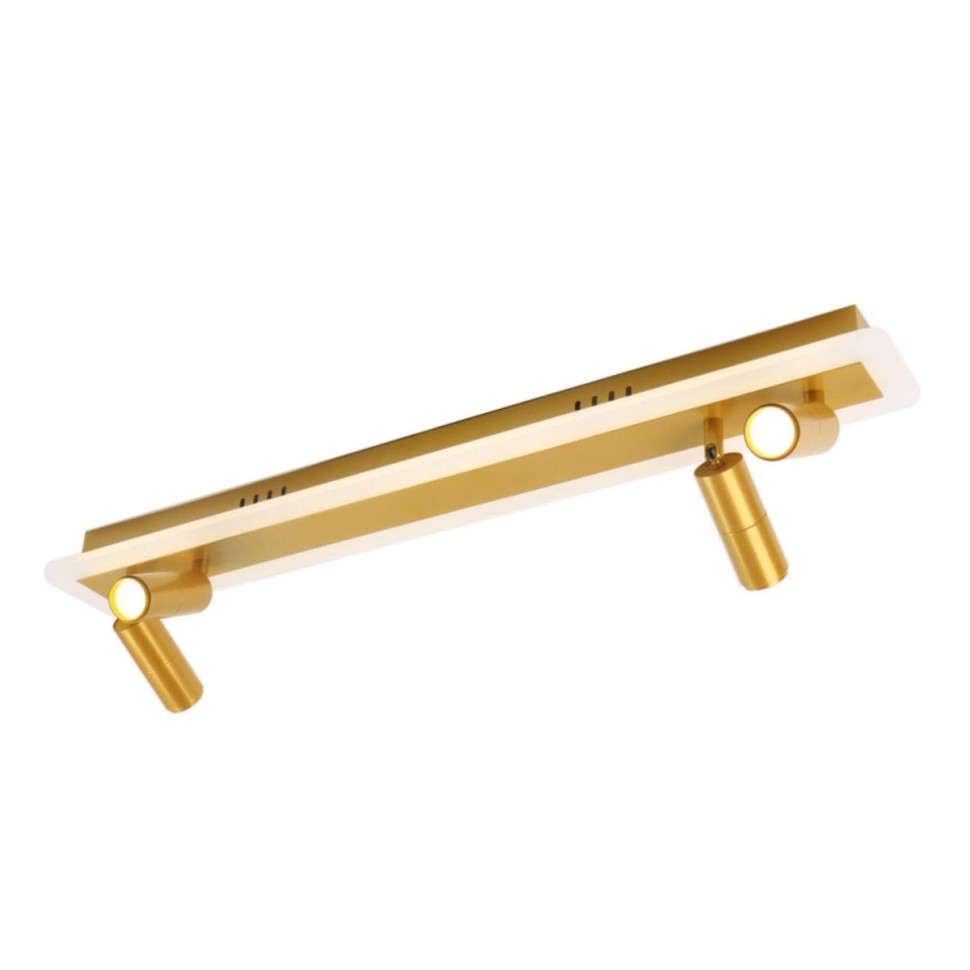 Светодиодный спот Arte Lamp Tommy A2607PL-30GO фото 1 &mdash; svetrussia.ru