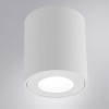 Потолочный светильник Arte Lamp Tino A1469PL-1WH фото 2 &mdash; svetrussia.ru