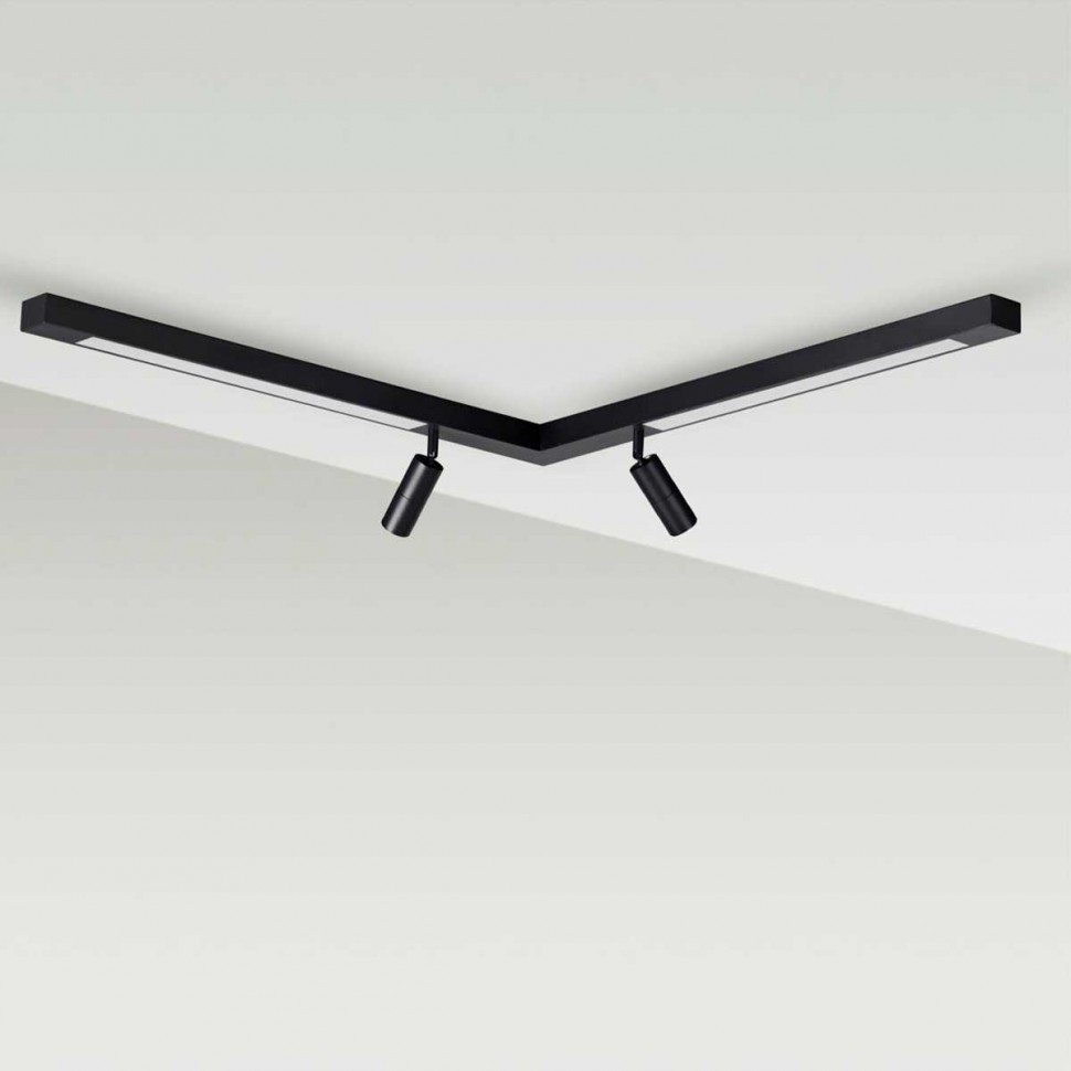 Потолочный светильник Lumion HAWK 5690/19CL фото 1 &mdash; svetrussia.ru