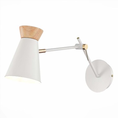 Спот Evoluce Alfeo SLE1252-501-01 &mdash; svetrussia.ru