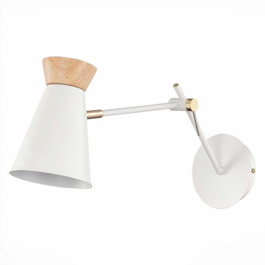 Спот Evoluce Alfeo SLE1252-501-01 &mdash; svetrussia.ru