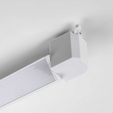 Линейный светильник Lightstar Lilla 202346 &mdash; svetrussia.ru