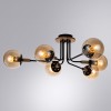 Потолочная люстра Arte Lamp Oxford A2716PL-6BK фото 4 &mdash; svetrussia.ru