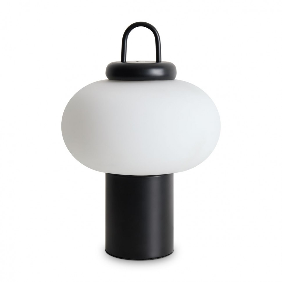 Настольная лампа Freya Take FR6175TL-L10B фото 1 &mdash; svetrussia.ru