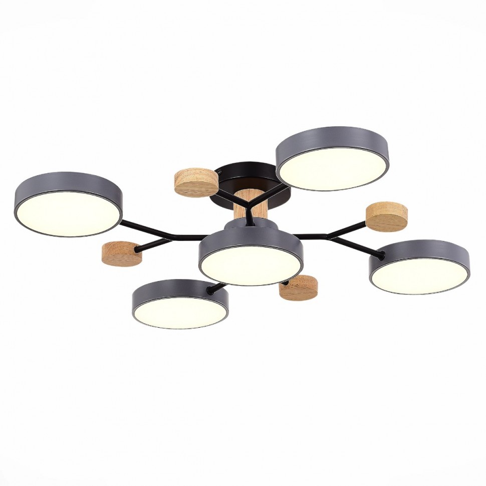 Потолочная светодиодная люстра Evoluce FAEMA SLE6006-702-05 фото 1 &mdash; svetrussia.ru